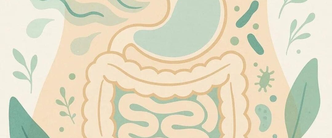 Understanding Bloating, Belching and Flatulence
